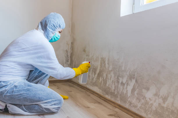 Licensed Bathroom Mold Removal service in Hampton, TN - WQB Mold Removal