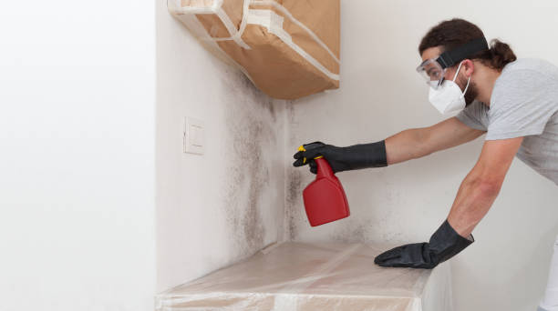 Professional Bathroom Mold Removal technician working in Hampton, TN