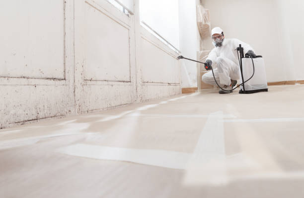 24/7 Emergency Bathroom Mold Removal experts in Hampton, TN